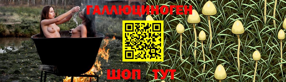 Псилоцибиновые грибы MAGIC MUSHROOMS Барнаул