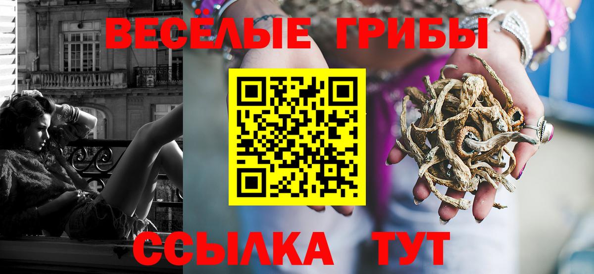 Барнаул  Псилоцибиновые грибы мицелий  Вход с VPN 